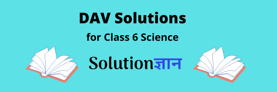 DAV Solutions for Class 6 Science