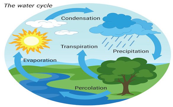 DAV Class 7 SST Chapter 5 Solutions Water Surrounding The Earth ...