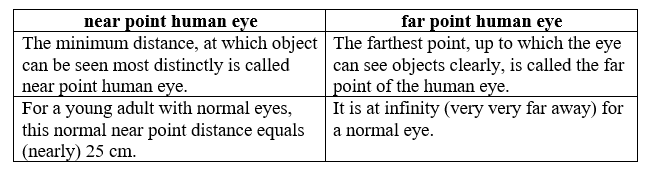 DAV Class 8 Science Chapter 11 The Human Eye Solutions
