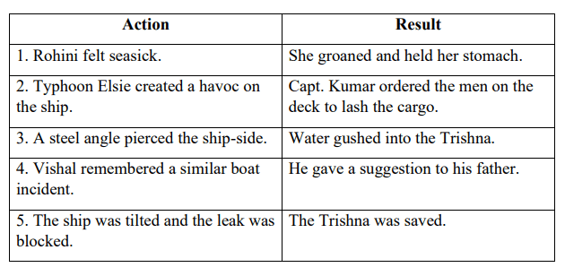 DAV Class 7 English Literature Book Solutions Chapter 7 A Stormy Adventure