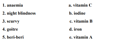 DAV Class 5 Science Chapter 5 Question Answer Food and Health