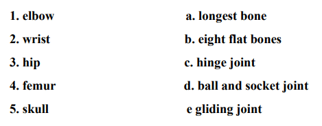 DAV Class 5 Science Chapter 1 Question Answer My Body