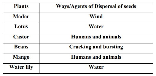 DAV Class 5 Science Chapter 2 Question Answer Plants SolutionGyan