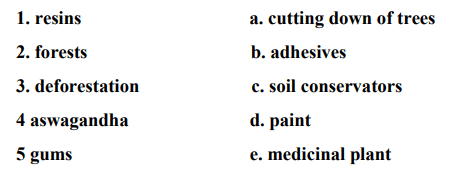 DAV Class 5 Science Chapter 3 Question Answer Forests