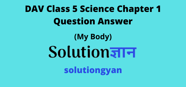 DAV Class 5 Science Chapter 1 My Body Solutions