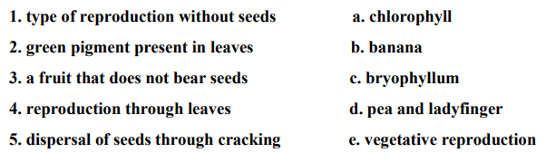DAV Class 5 Science Chapter 2 Question Answer Plants