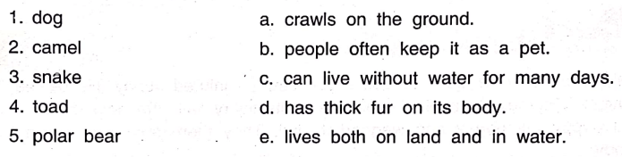 DAV Class 3 Science Chapter 5 Question Answer Animals
