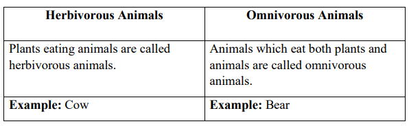 DAV Class 3 Science Chapter 6 Question Answer Feeding Habits Of Animals -  SolutionGyan