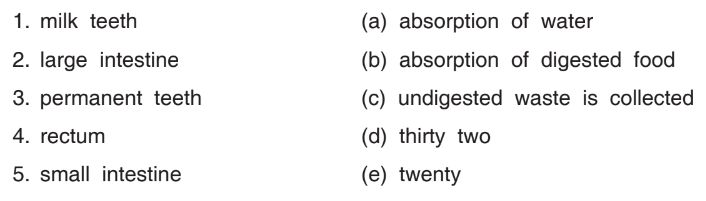 Dav Class 4 Science Chapter 1 Question Answer My Body SolutionGyan