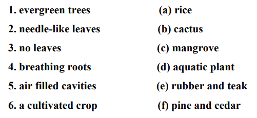 Dav Class 4 Science Chapter 4 Question Answer Plants Around Us