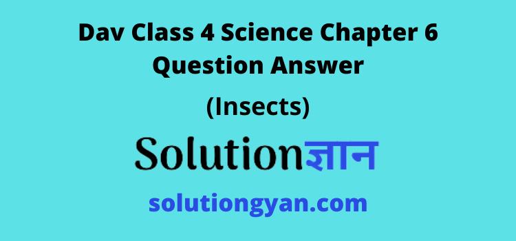 Dav Class 4 Science Chapter 6 Question Answer Insects