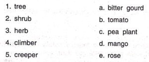 DAV Class 3 Science Chapter 2 Question Answer - SolutionGyan