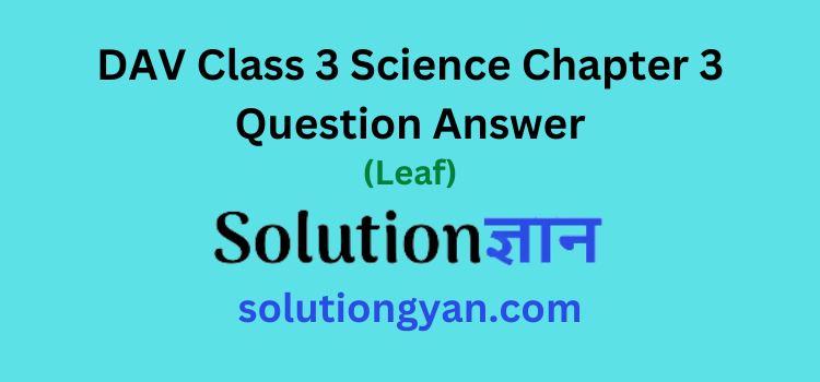 DAV Class 3 Science Chapter 3 Question Answer Leaf
