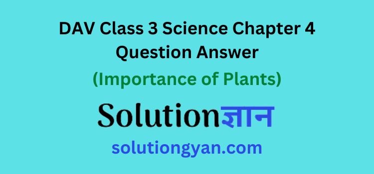 DAV Class 3 Science Chapter 4 Question Answer Importance of Plants